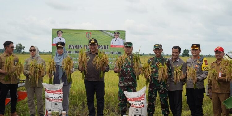 FOTO: IST/MATAKALTENG - Wagub Kalteng, Edy Pratowo saat menghadiri Panen Raya beberapa waktu lalu di Kabupaten Pulang Pisau.