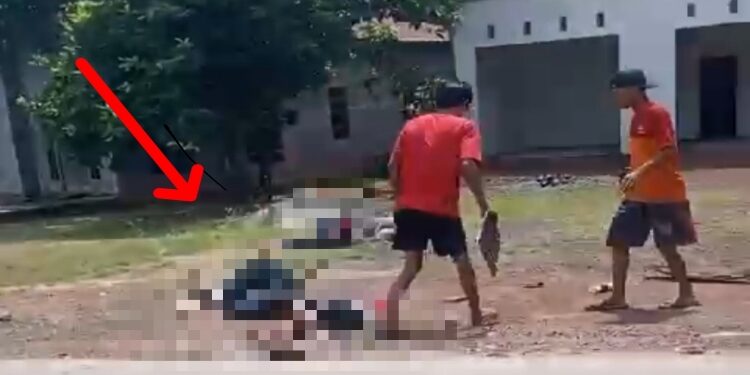 FOTO: IST/MATA KALTENG- Satu keluarga terkapar usai mengalami kecelakaan di Bajarau jalan poros, Kecamatan Parenggean, Kabupaten Kotim, Minggu 19 Mei 2024.
