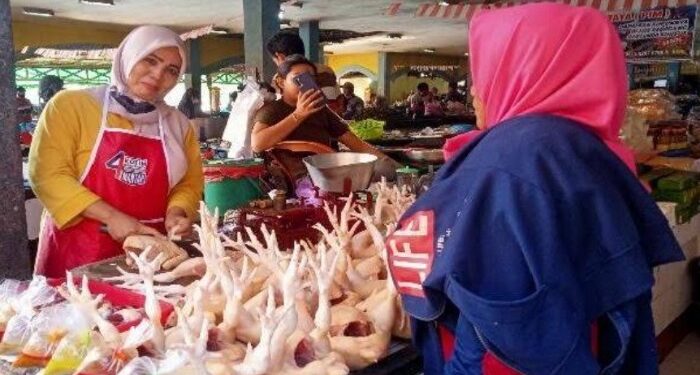 FOTO: DOK DEVIANA/MATAKALTENG - Aktivitas jual beli ayam di PPM.
