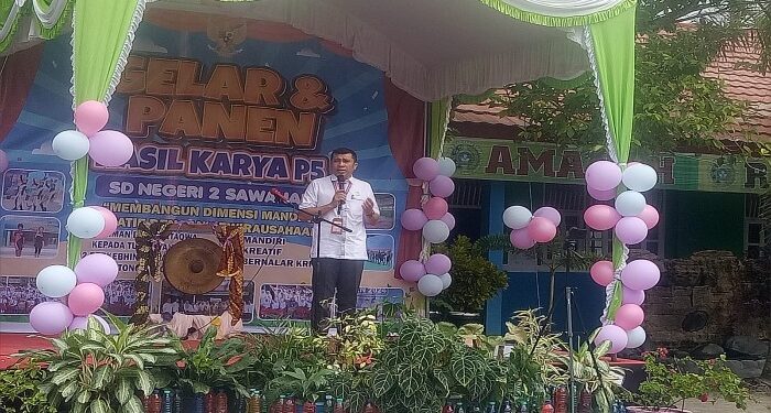 Foto: DIAN/MATA KALTENG - Gelar dan panen hasil karya P5 di SDN 2 Sawahan, 22 Mei 2024.