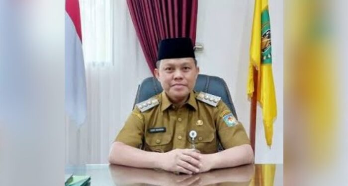 Foto : MATAKALTENG - Deddy Winarwan Pj. Bupati Barsel.