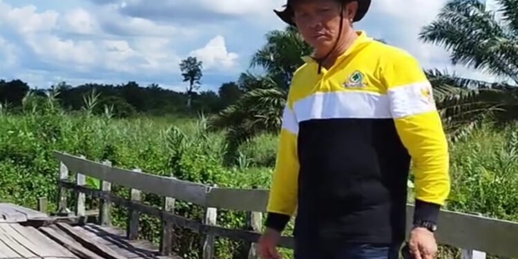 FOTO: IST/MATA KALTENG - Wakil Ketua I DPRD Seruyan, Bambang Yantoko saat meninjau secara langsung kondisi jembatan penghubung Desa Parang Batang, Kecamatan Hanau.
