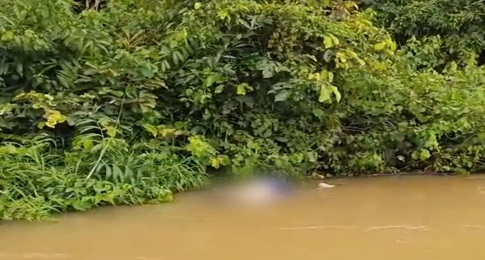 FOTO: IST/MATAKALTENG - Mayat warga Tumbang Mangkup bernama Markawi yang ditemukan hanyut di sungai Tanjung Jeringau, Kecamatan Mentaya Hulu, Senin, 27 Mei 2024.