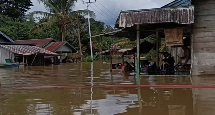 Foto:BPBD/MATA KALTENG - Banjir yang terjadi di Desa Tumbang Sangai, Kecamatan Telaga Antang, Kotim.