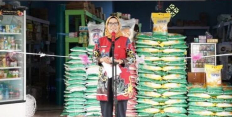 Penjabat Wali Kota Palangka Raya, Hera Nugrahayu.