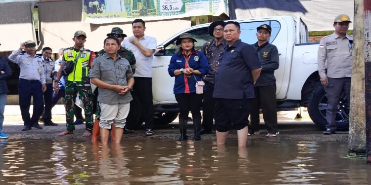 FOTO: IST/MATAKALTENG - Pj Bupati Katingan, Saiful, saat peninjaun lokasi terdampak banjir. 