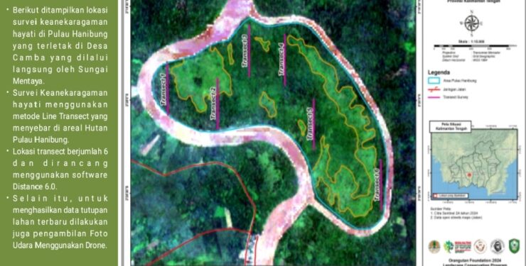 FOTO : IST/MATAKALTENG - Penampakan Pulau Hanibung dari atas yang berbentuk ginjal.