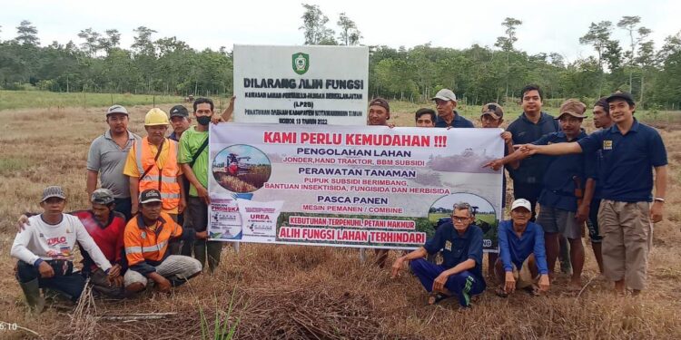 Foto: IST/MATA KALTENG - Kelompok tani Ujung Pandang dan Hamparan, Desa Bapeang, Kecamatan Mentawa Baru Ketapang, Kotim.