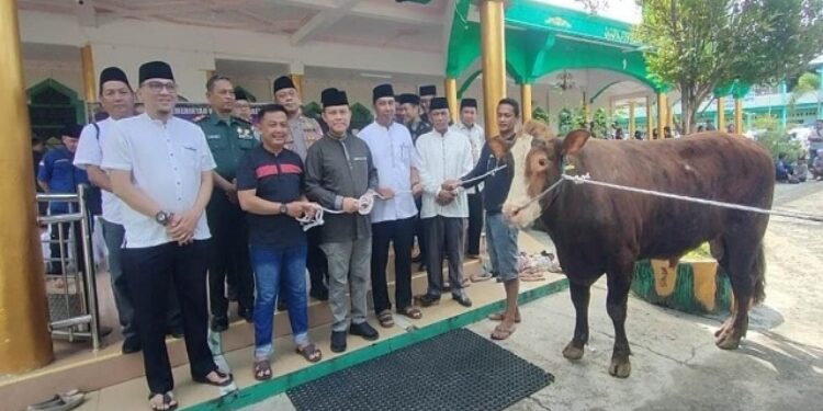 FOTO: IST/MATAKALTENG - Pj. Bupati Barsel Deddy Winarwan saat menyalurkan 135 sapi hewan kurban secara simbolis.