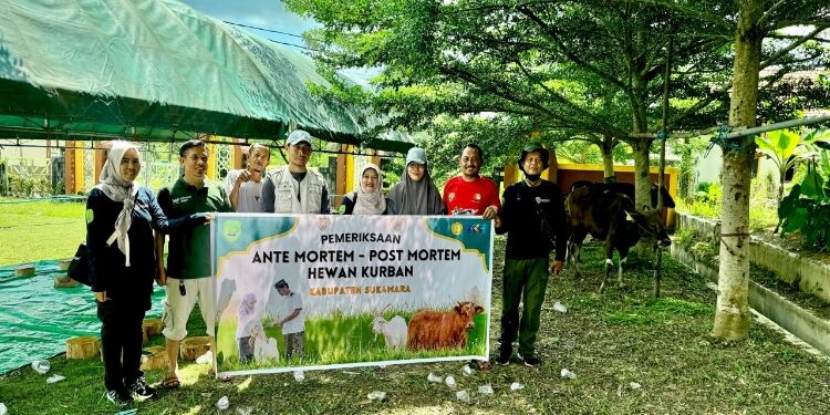FOTO: AKH/MATAKALTENG - Petugas pemeriksa kesehatan hewan kurban saat memeriksa didampingi Panitia Kurban.