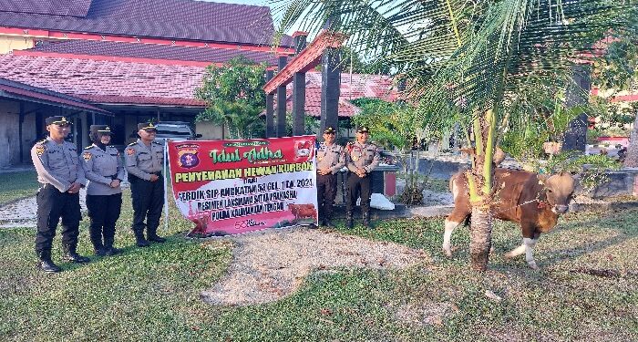 FOTO: RZL/MATAKALTENG - Jajaran Serdik SIP Angkatan 53 Gelombang 1 Polda Kalteng saat menyerahkan satu ekor sapi kurban ke panitia kurban Polda Kalteng.