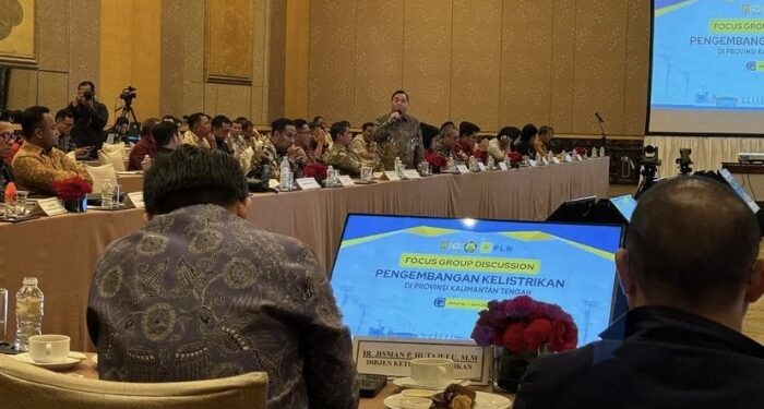 Foto: IST/MATA KALTENG - Focus Group Discussion (FGD) Pengembangan Kelistrikan Provinsi Kalimantan Tengah yang dihadiri Ketua DPRD Kotim, Rinie Anderson.