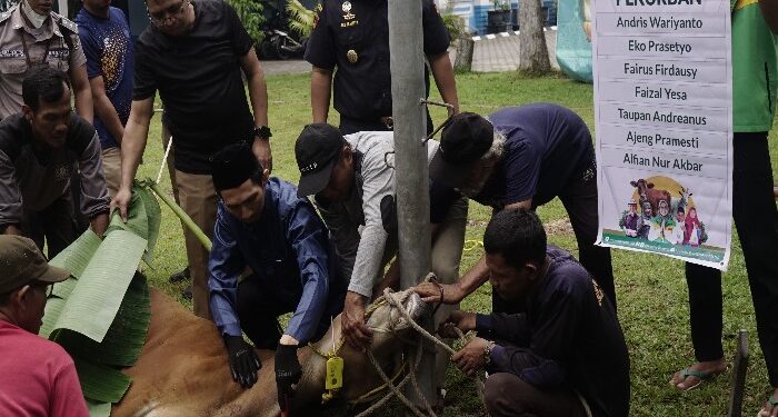 FOTO: MATAKALTENG - Proses penyembelihan hewan kurban oleh Kanwil DJPb Kalteng dan Bea Cukai.