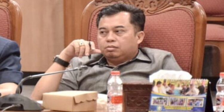 Anggota Fraksi PDI Perjuangan, Rimbun.