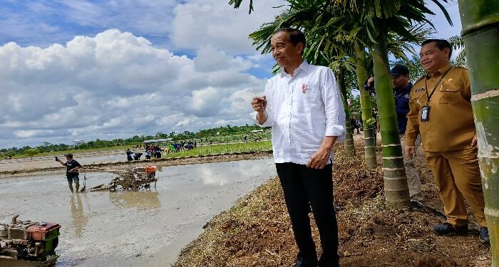 FOTO : DEVIANA/MATAKALTENG - Presiden RI Joko Widodo didampingi Bupati Kotim Halikinnor saat meninjau sawah di Desa Bapeang, Rabu 26 Juni 2024.