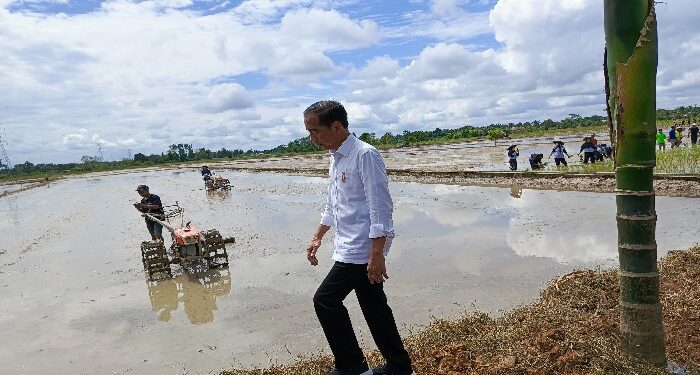 FOTO : DEVIANA/MATAKALTENG - Presiden RI Jokowi saat meninjau lahan pertanian di Desa Bapeang Kecamatan MBK, Rabu 26 Juni 2024.
