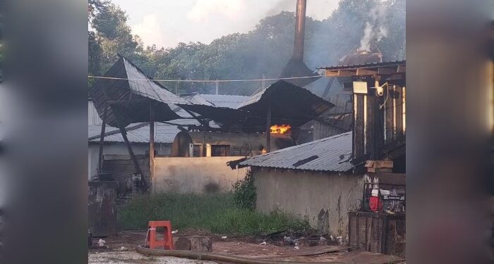 Polisi Sebut Tidak Tahu Tentang Aktivitas Gudang Terbakar Milik WNA di Cempaga SAMPIT - Kapolres Kotawaringin Timur (Kotim), AKBP Sarpani, mengaku belum mendapatkan informasi terkait dengan aktivitas gudang yang terbakar di Desa Cempaka Mulia Barat, Kecamatan Cempaga, Kabupaten Kotim pada Jumat 21 Juni sekitar pukul 17.00 WIB lalu. "Itu yang kita selidik terkait kasus kebakarannya, kita belum dapatkan informasi gudang itu aktivitasnya apa," kata Sarpani, Jumat 28 Juni 2024. Meskipun demikian, Sarpani menjelaskan bahwa penyebab kebakaran tersebut sudah diketahui dan pihaknya masih melakukan penyelidikan. "Kebakarannya sudah kita identifikasi dan kita lakukan penyidikan," bebernya. Berdasarkan informasi yang dihimpun, gudang yang berada di pinggir jalan tersebut beroperasi untuk membakar Minyak Kotor (Miko) milik CV Green Energy yang dikelola oleh WNA asal Tiongkok bernama Yu Bin. Yu Bin diketahui sebagai penanggung jawab di lokasi tersebut, sedangkan pemilik gudang masih dalam proses penyelidikan pihak kepolisian. Gudang Miko tersebut mempekerjakan dua orang warga Kotim dengan gaji sekitar 3 juta rupiah per bulan. Aktivitas gudang tersebut sudah berlangsung bertahun-tahun, namun tidak banyak orang yang mengetahui karena ditutupi dengan seng. Saat aktivitas pembakaran berlangsung, aroma pembakaran miko bisa tercium hingga radius puluhan meter dari gudang yang berada di pinggir Jalan Cilik Riwut KM 35, Kecamatan Cempaga. Dimana dalam gudang itu juga, nampak ada kolam penampungan yang diduga hasil pengelolaan Miko. Dalam proses penyelidikan, pihak kepolisian telah memeriksa saksi-saksi (pekerja) di gudang tersebut. Namun, belum diketahui apakah penanggung jawab gudang bernama Yu Bin sudah diperiksa atau belum. Lebih lanjut, diketahui bahwa aktivitas pengelolaan Minyak Kotor (Miko) milik WNA asal Tiongkok tersebut tidak mengantongi izin dari pihak Desa maupun DLH Kotim. Hal ini membuat keberadaan dan aktivitasnya terkesan terselubung dan tidak diketahui oleh pihak kepolisian di sekitar lokasi. (gus/matakalteng) FOTO: AGUS/MATAKALTENG - Gudang pengelolaan Miko yang beroperasi bertahun-tahun tanpa diketahui.