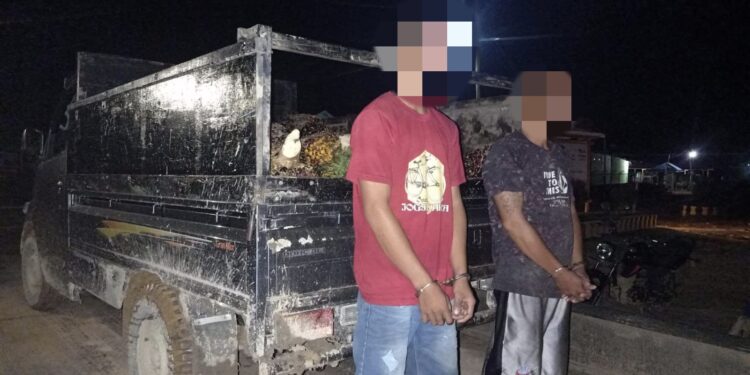 FOTO: IST/MATAKALTENG - Dua orang pelaku pencurian buah sawit di salah satu perusahaan swasta di Desa Bukit Makmur Kecamatan Tualan Hulu.
