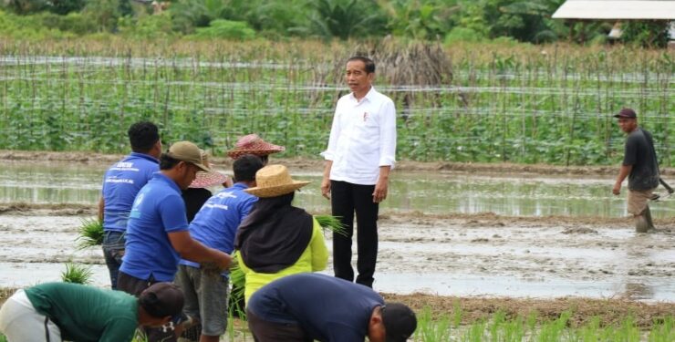 FOTO : IST/MATAKALTENG - Presiden Jokowi didampingi Gubernur Kalteng Sugianto Sabran dan sejumlah Menteri meninjau bantuan pompa air untuk pengairan sawah dan pertanian di Desa Bapeang, Kecamatan Mentawa Baru Ketapang, Kabupaten Kotim, beberapa waktu lalu.
