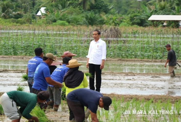 Kalteng Raih Terbaik Nasional Pengelolaan DAK Irigasi