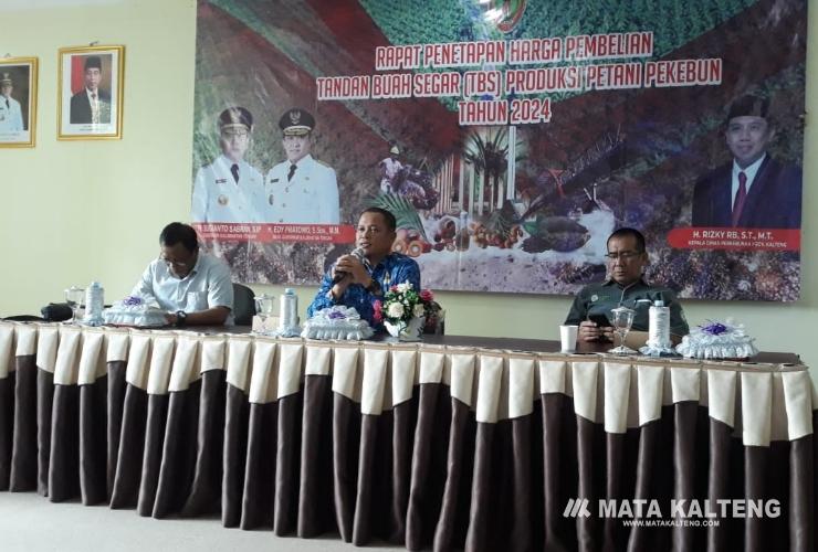 Harga TBS Kelapa Sawit Kalteng Menguat pada Awal Juli 2024