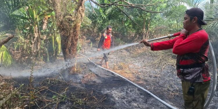 FOTO: MATAKALTENG - Petugas pemadam kebakaran pada saat melakukan upaya pemadaman lahan beberapa waktu lalu.