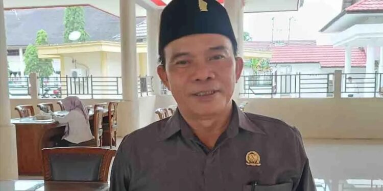Foto: MATAKALTENG - Ketua Komisi III DPRD Barsel, Hermanes.
