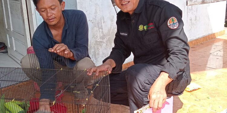 FOTO: BKSDA/MATAKALTENG - Kukang jantan yang diserahkan warga ke petugas BKSD Pos Sampit.