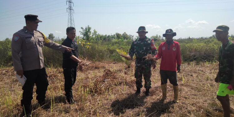 FOTO: MATAKALTENG - Tim gabungan pada saat melakukan patroli lahan rawan terbakar.