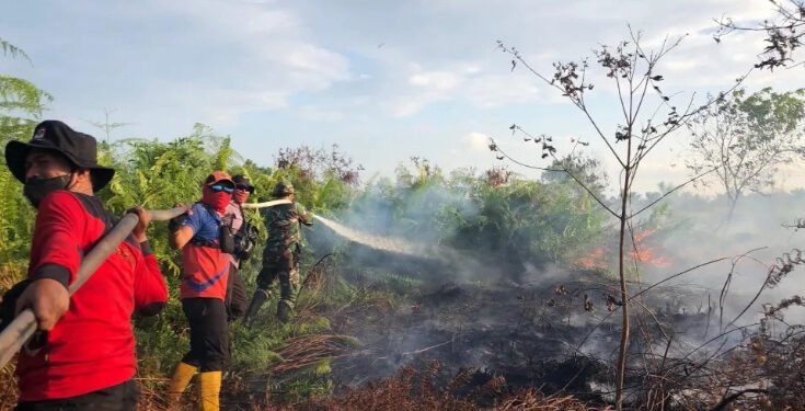 Foto:DIAN/MATA KALTENG - Penanganan kebakaran lahan oleh tim BPBD Kotim di Jalan Pramuka, Sampit, 29 Juli 2024.
