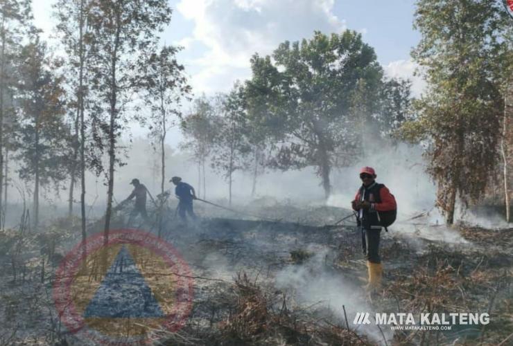 BPBPK Kalteng Laporkan Peningkatan Signifikan Kasus Karhutla