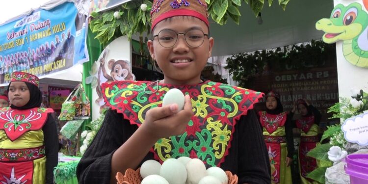 Foto: DIAN/MATA KALTENG - Siswa SDN 9 Baamang Tengah Gilang yang membuat telur asin untuk gelar panen karya se Kecamatan Baamang.