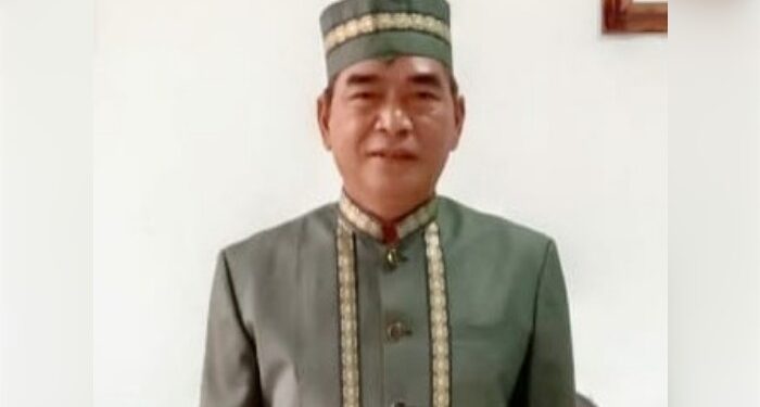 Foto: MATAKALTENG - Tamarzam Ketua DAD Barsel.