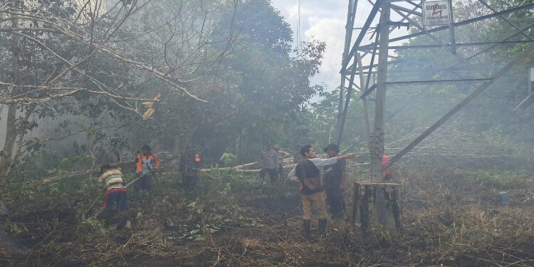 FOTO: IST/MATAKALTENG - PLN dan BPBD (Badan Penanggulangan Bencana Daerah) Kotawaringin Timur beserta masyarakat setempat bahu membahu memadamkan api yang mengepung tower transmisi milik PLN.