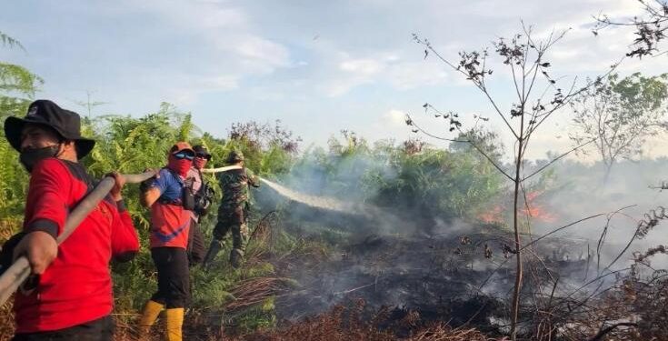 Foto: DOK/MATA KALTENG - Pemadaman karhutla oleh tim BPBD Kotim beberapa waktu lalu di Jalan Pramuka, Sampit.