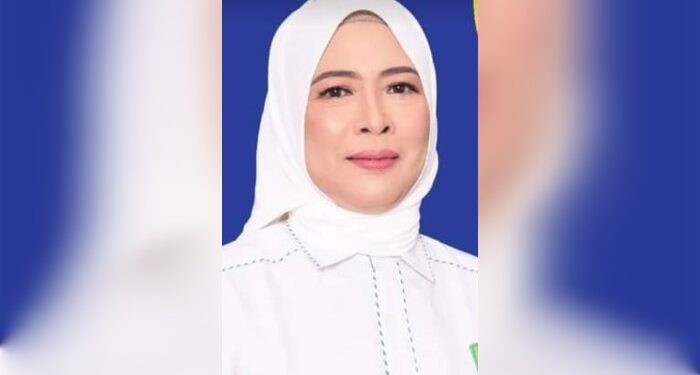 Foto: MATAKALTENG-Nurul Hikmah anggota DPRD Barsel.