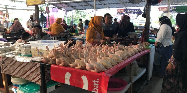 FOTO: DIAN/MATAKALTENG - Salah seorang pedagang ayam di pasar Al Kamal Sampit.