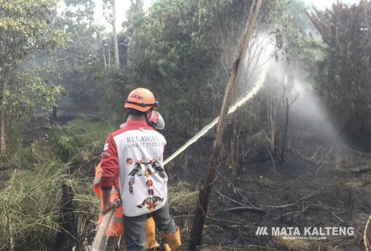 Pembakaran Lahan Disengaja Jadi Faktor Utama Karhutla