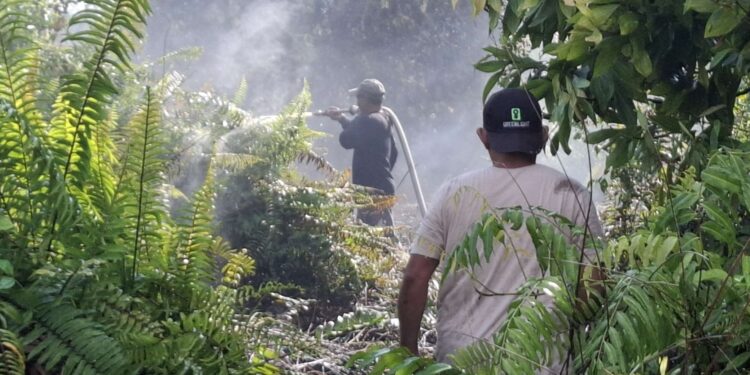 Foto: DIAN/MATA KALTENG - Upaya pemadaman kebakaran lahan di jl Pramuka, Sampit, Kotim, 19 September 2024.