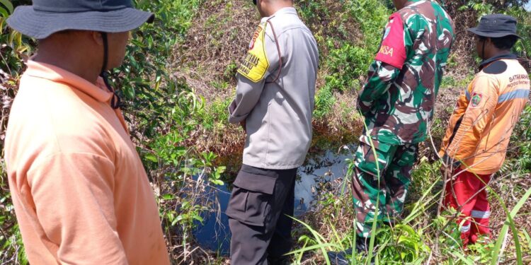 FOTO: MATAKALTENG - Tim gabungan pada saat melakukan patroli karhutla di Sabaru.