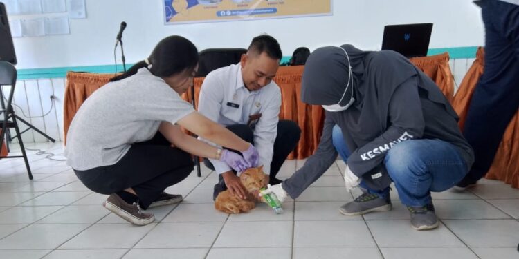 Foto : AKH/MATA KALTENG - Vaksinasi rebies kepada hewan peliharaan masyarakat secara gratis.