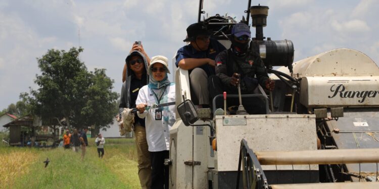 FOTO: MATAKALTENG - Kepala TPHP Kalimantan Tengah, Hj. Sunarti bersama Kepala Kanwil Ditjen Perbendaharaan Kalimantan Tengah, Wawan Juswanto melakukan kunjungan lapangan ke kawasan cetak sawah di Kecamatan Dadahup, Kabupaten Kapuas, Rabu (9/10/2024).