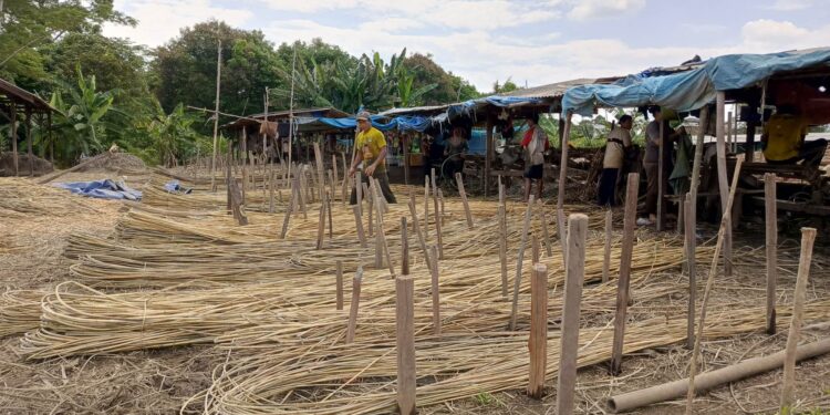 FOTO : DEVIANA/MATAKALTENG - Aktivitas roduksi rotan di Kecamatan Kota Besi, Rabu 9 Oktober 2024.