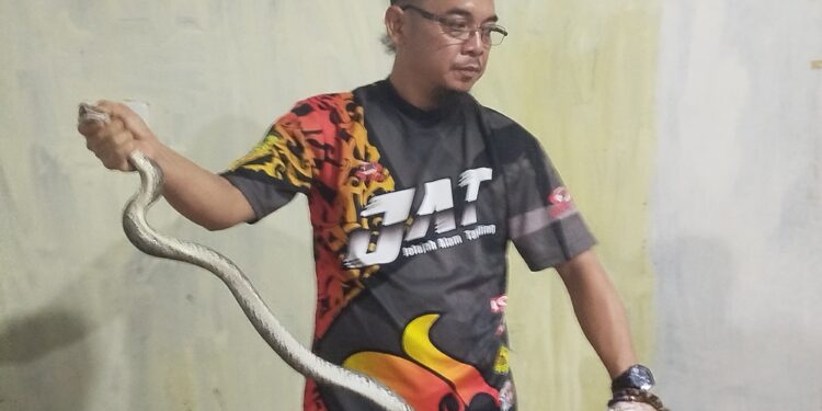 FOTO: MATAKALTENG - Personel Tim ERP saat berhasil mengevakuasi ular di rumah warga.