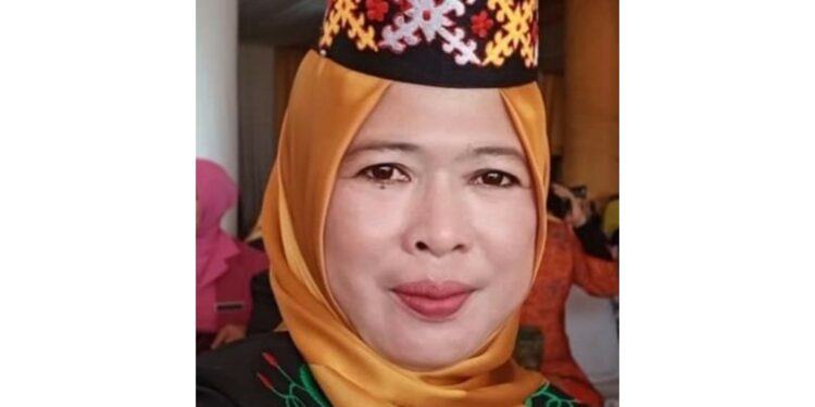 Nurul Hikmah, Anggota DPRD Barsel.