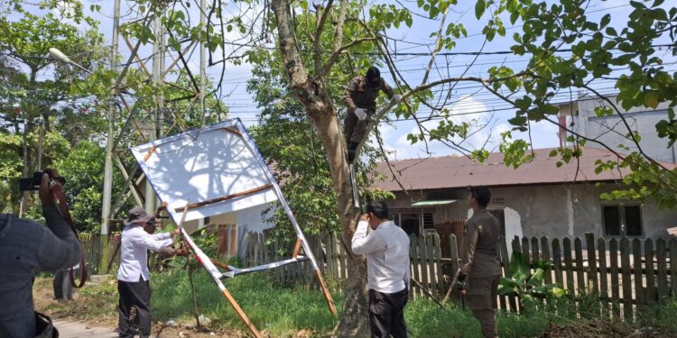 Foto:DIAN/MATA KALTENG - Penurunan APK yang terpasang pada pohon, 30 Oktober 2024.