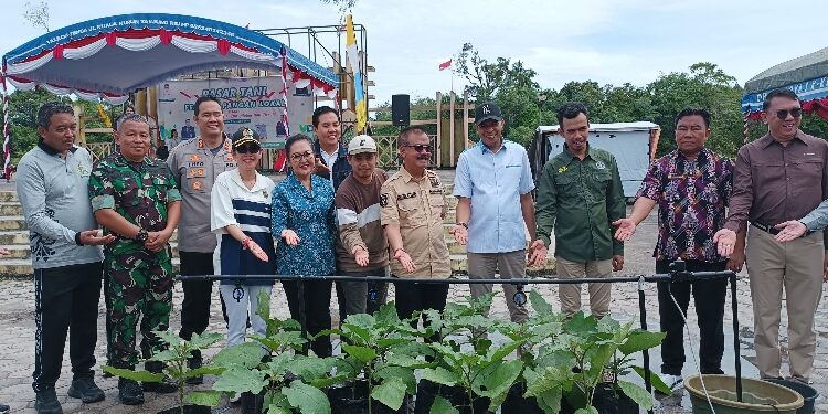 FOTO : DISKOMINFO SANTIK/MATA KALTENG  - Bupati Gumas Herson B Aden bersama Kapolres AKBP Theodorus Priyo Santosa, Sekda Richard, dan Kepala Dinas Pertanian Aryantoni, ketika menunjukkan percontohan tanaman dengan cara kerja inovasi sistem irigasi berbasis IoT, di Taman Kota Kuala Kurun, Jumat 1 November 2024.