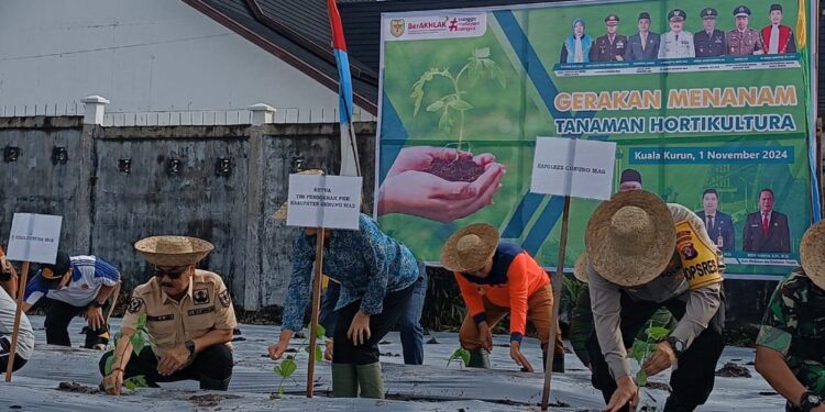 FOTO : DISKOMINFO SANTIK/MATA KALTENG - Pj Bupati Gumas Herson B Aden, Kapolres AKBP Theodorus Priyo Santosa, Kajari Sugito, Sekda Richard, Pj Ketua TP-PKK Shella Herson B Aden, dan kepala dinas pertanian Aryantoni, ketika melakukan tanam bersama tanaman holtikultura di Kebun TP-PKK kabupaten, pekan lalu.