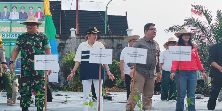 FOTO : DPRD GUMAS/MATA KALTENG - Wakil Ketua I DPRD Kabupaten Gumas Nomi Aprilia ketika melakukan gerakan penanaman tanaman holtikultura di Kebun TP-PKK, belum lama ini.