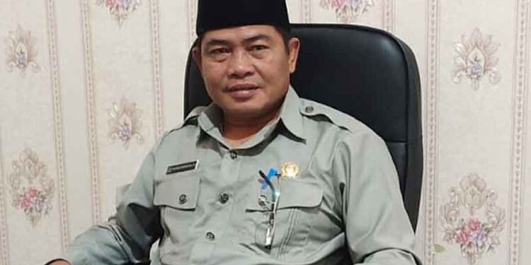 Wakil Ketua Sementara DPRD Katingan, Nanang Suriansyah.